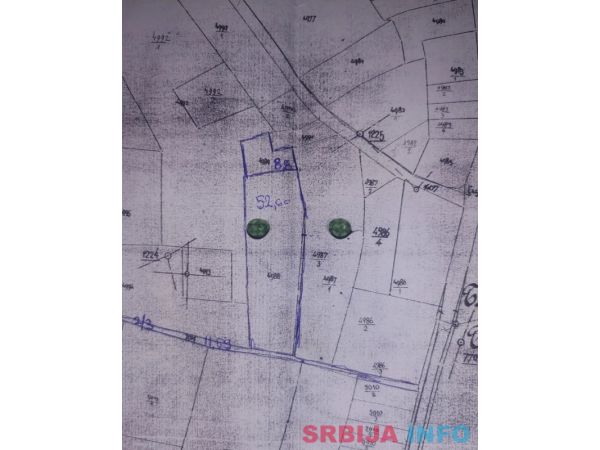 Prodajem zasad lesnika