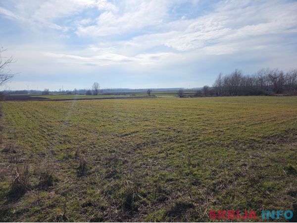 Zemlji&scaron;te na prodaju/zakup - Plac na Dunavu idealan za vikendice i pecanje