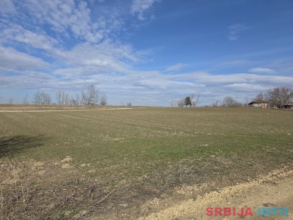 Zemlji&scaron;te na prodaju/zakup - Plac na Dunavu idealan za vikendice i pecanje