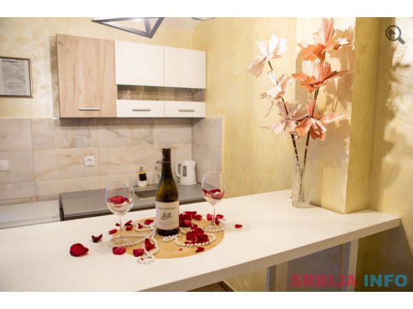 Studio Apartman Steco central 1 Beograd Savski Venac
