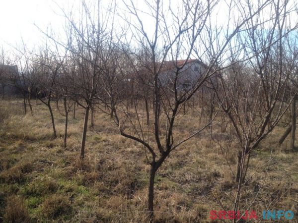 Prodajem plac u Požarevcu