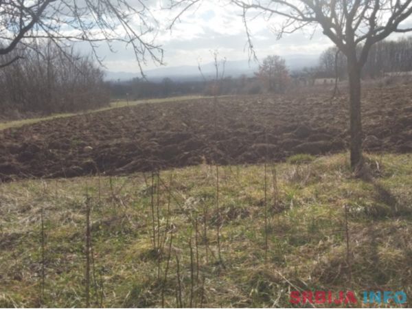 Prodajem seosko domacinstvo, Donja Trepca-Cacak