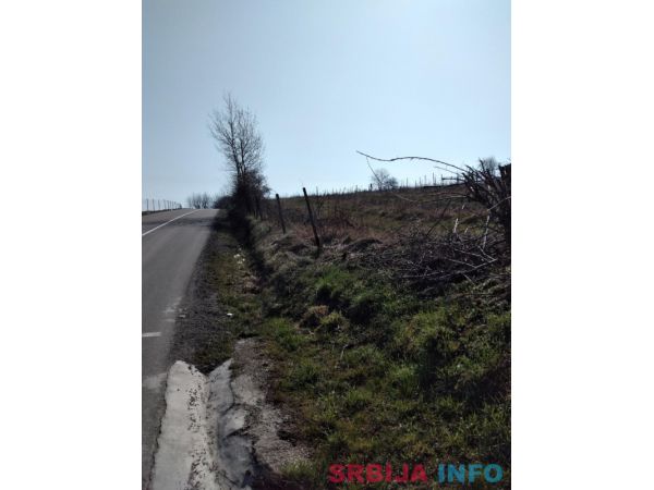 Prodaja zemljista Sepsin-Mladenovac