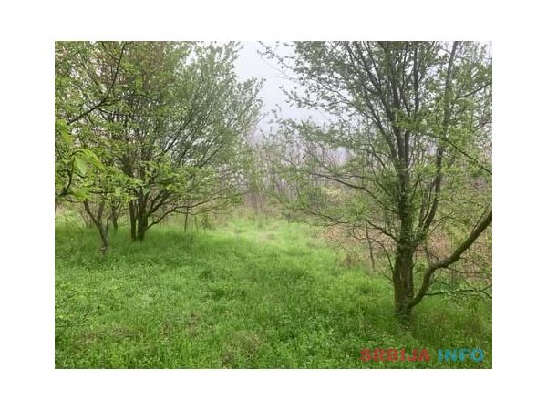 Plac Vlaska, Mladenovac, 33.58ari