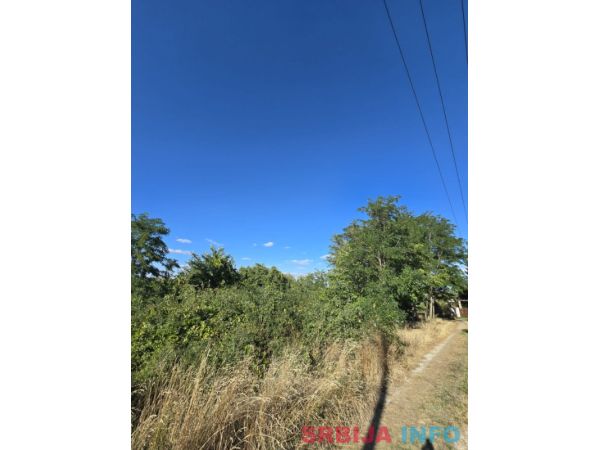 Plac od 61ar u Belom Bregu-Indjija