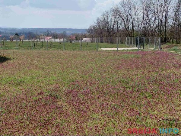 Plac 24 ara Stojnik Sopot 