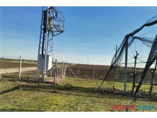 Voćnjak tre&scaron;nje u punom rodu, 1.5 Ha, Srbobran