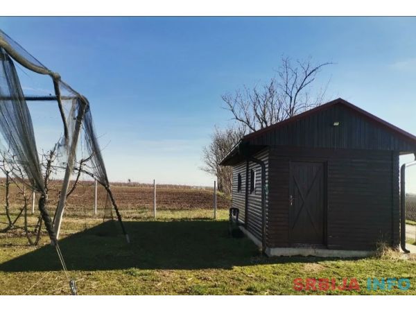 Voćnjak tre&scaron;nje u punom rodu, 1.5 Ha, Srbobran