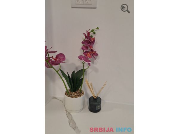 Studio Apartman Beo Centar Beograd Zvezdara