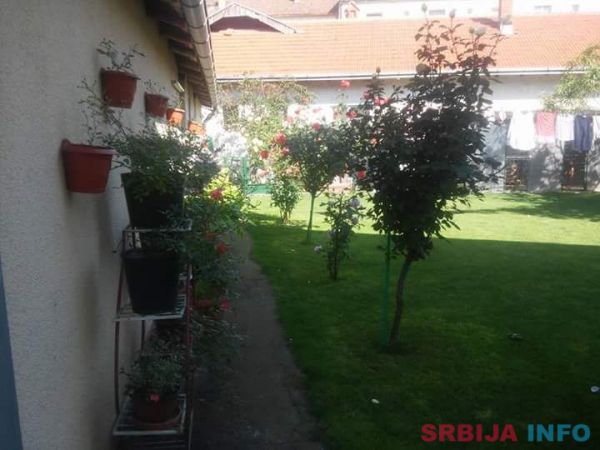 Kuca na prodaju u Požarevcu