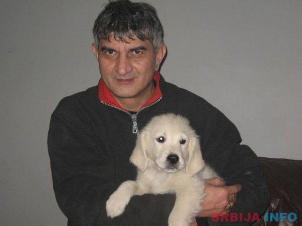 Najlepsi stenci zlatnog retrivera