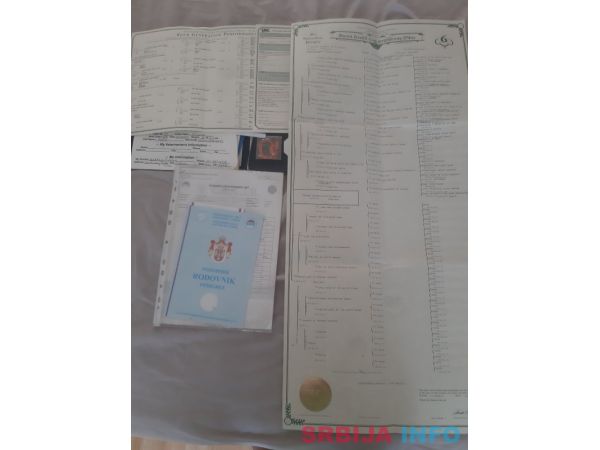 Beli Svajcarski Ovcar