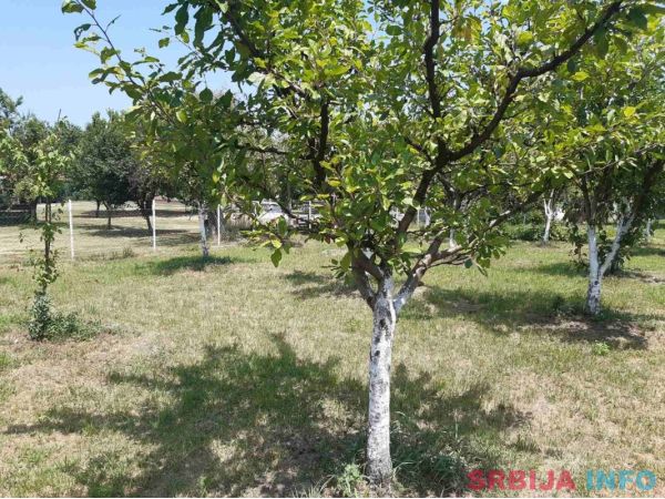 Plac 9,5 ari Ribnica Kraljevo