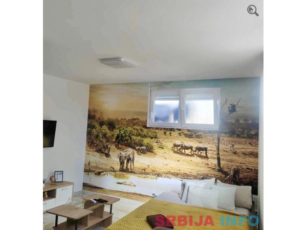 Studio Apartman Safari 2 Novi Sad Petrovaradin