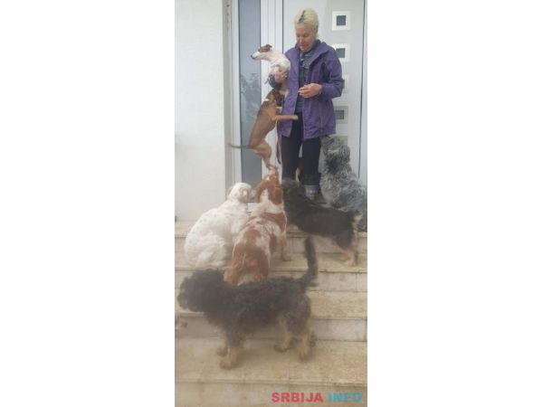 Potreban radnik u prihvatilištu za životinje