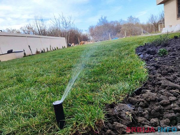 Tepih trava i zalivni sistemi