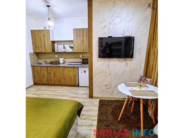 Studio Apartman Dircolko Beograd Centar