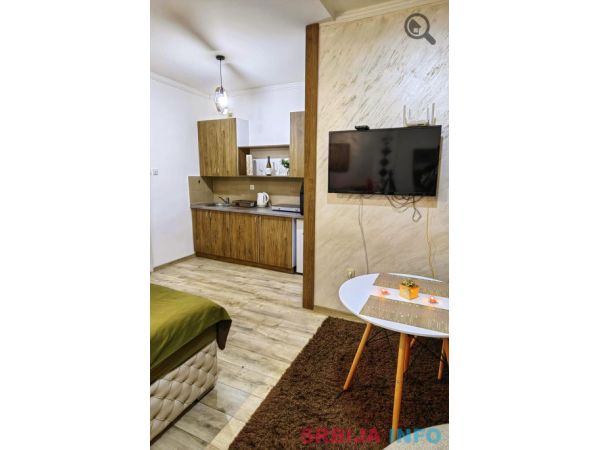 Studio Apartman Dircolko Beograd Centar