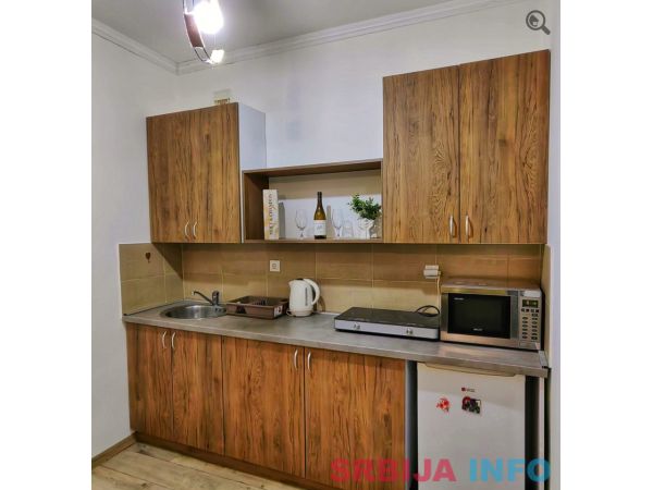 Studio Apartman Dircolko Beograd Centar