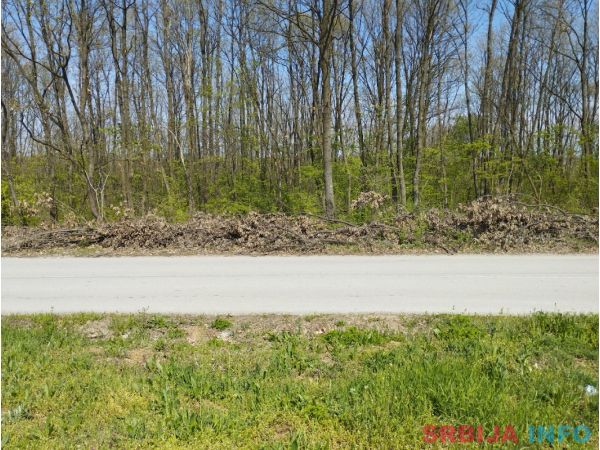 Gradjevinska zemlji&scaron;ta 31 i 45 ari-Jasenak(Obrenovac)