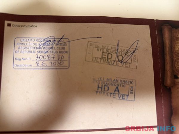 &Scaron;tenci velike kraljevske pudle