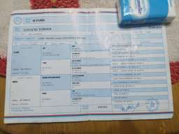 Lepa i radna zenka terijera