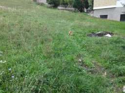 Na prodaju plac od 21 ara