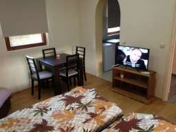 IZDAJEM APARTMAN NA DAN U BORCI