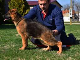 Vrhunska ženska &scaron;tenad 