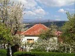 Soko Banja-apartman Libero