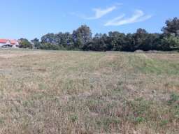 Prodajem plac 1.10ha u Vranicu