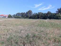 Prodajem plac 1.10ha u Vranicu