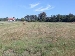 Prodajem plac 1.10ha u Vranicu