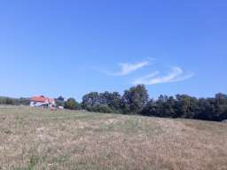 Prodajem plac 1.10ha u Vranicu