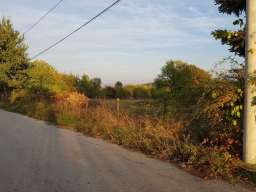 Prodajem plac u Ripnju