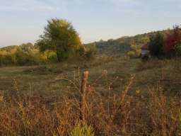 Prodajem plac u Ripnju