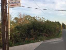 Prodajem plac u Ripnju