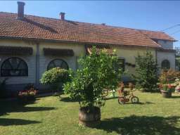 Seosko domacinstvo kod Topole