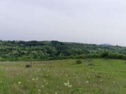 Prodaja poljoprivrednog zemljista u okolini Mladenovca