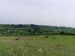 Prodaja poljoprivrednog zemljista u okolini Mladenovca