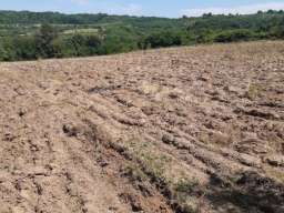Poljoprivredno zemljiste-njiva 3.7ha