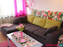 Pink Flamingo Nest - dizajn apartman Senta (do 5 osoba)