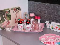Pink Flamingo Nest - dizajn apartman Senta (do 5 osoba)