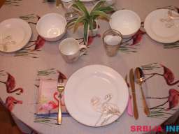 Pink Flamingo Nest - dizajn apartman Senta (do 5 osoba)