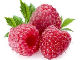 POTREBNI RADNICI ZA BERBU MALINA 