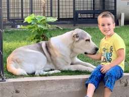 Poklanjam kuju Azijata