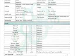 Francuski BULDOG stenci 