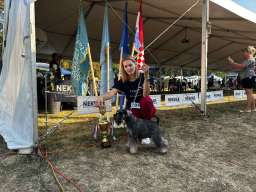 Patuljasti Snaucer prelepi stenci