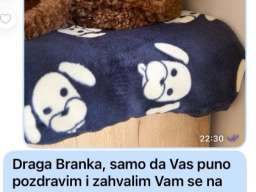 Toy Pudle na prodaju