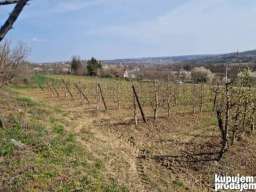 Gradjevinsko zemljište. 48 ari Popović 